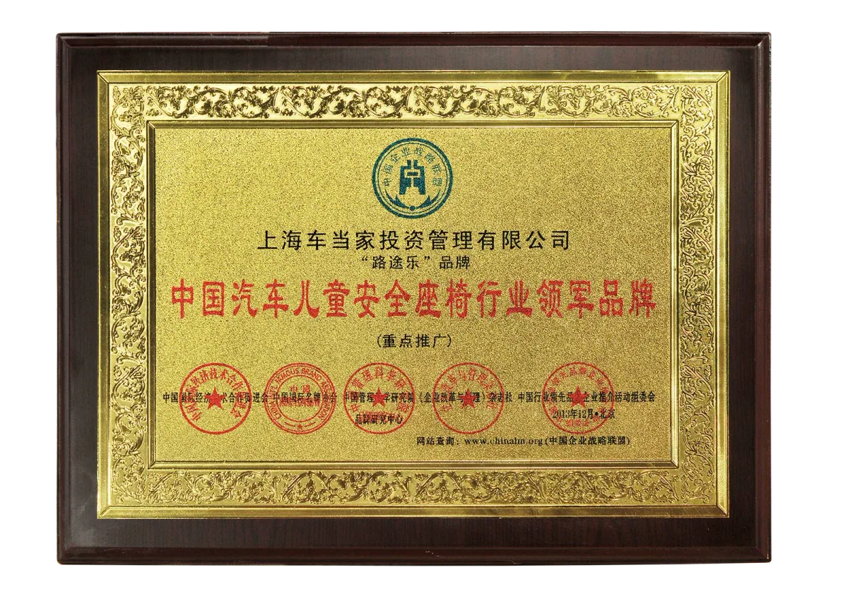 成人安全带为何不能直接给儿童用?从骨骼发育看安全座椅的必要性